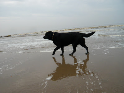 Foto bij Noordwijk aan ZEEEEEEEEEEEEEEEEEEEEEEEEEE!