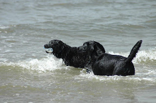 Foto bij Haa-Twee-Oo (H2O)