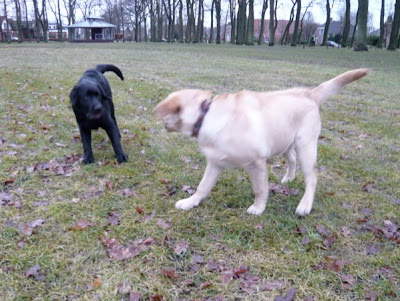 Foto bij Bro meets Sis!