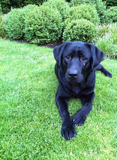 Foto bij Bibi's Dotjes 1 jaar!