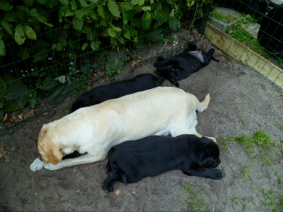 Foto bij Zand erover!