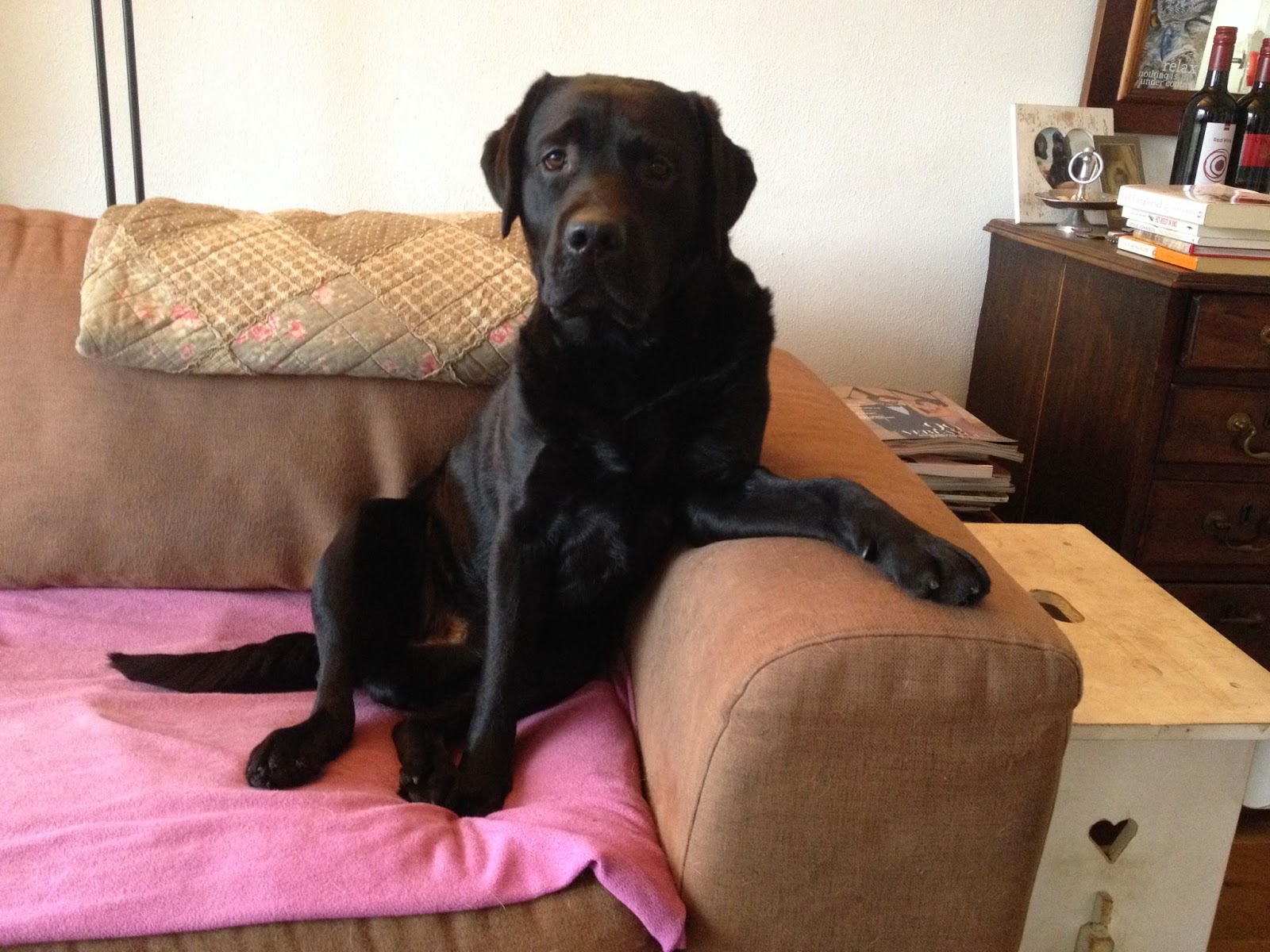 Foto bij Cosy Couching