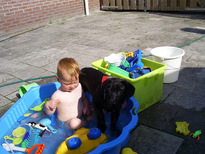 Foto bij Zeven jarigen!