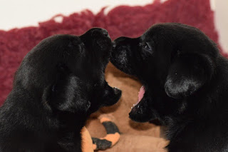 Foto bij Playtime!