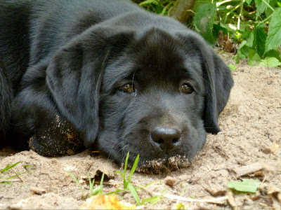 Foto bij Zand erover!