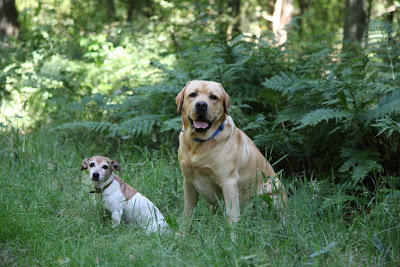 Foto bij JanetSailor-blend 2 jaar!
