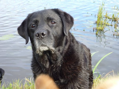 Foto bij Ollie's jubileum!