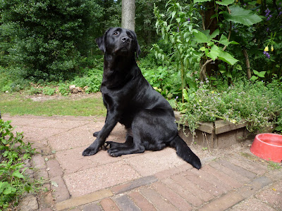 Foto bij Looooops!