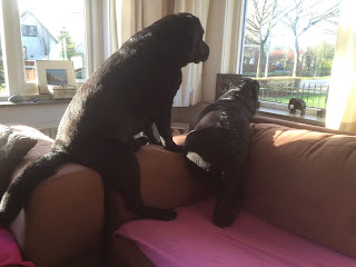 Foto bij Moeders en dochters