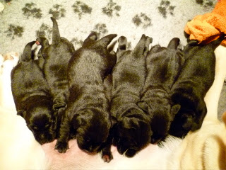 Foto bij With a Little Help