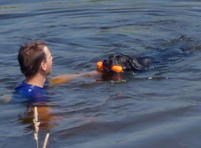 Foto bij Van muurbloempje tot waterrat...