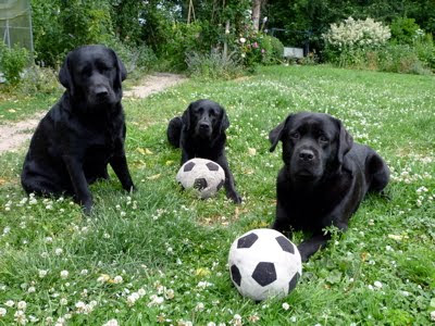 Foto bij Voetballuh!