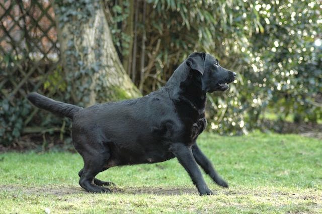 Foto bij Hormoon Huishouding