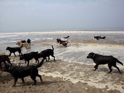 Foto bij Noordwijk aan ZEEEEEEEEEEEEEEEEEEEEEEEEEE!