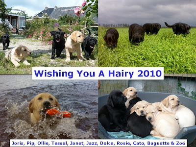 Foto bij Hairy Happy New Year!