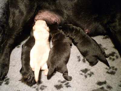 Foto bij Cato's Kado