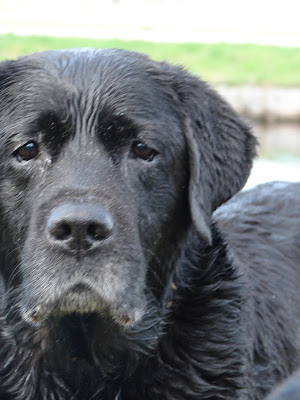 Foto bij Ollie's jubileum!