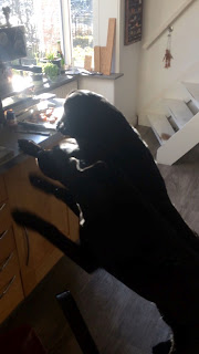 Foto bij Moeders en dochters