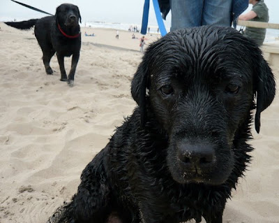 Foto bij Noordwijk aan ZEEEEEEEEEEEEEEEEEEEEEEEEEE!