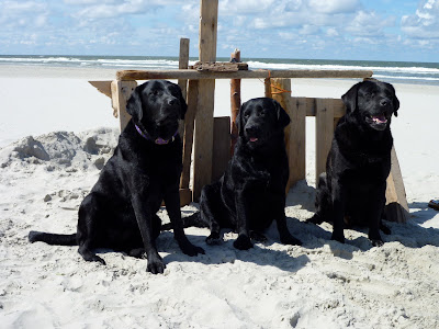 Foto bij Een dagje naar het strand