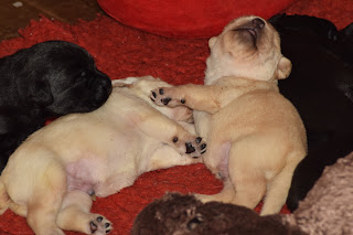 Foto bij Kleine Keetjes