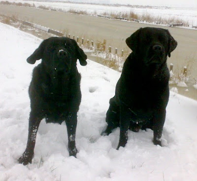 Foto bij Let is snow let it snow let it snowww!