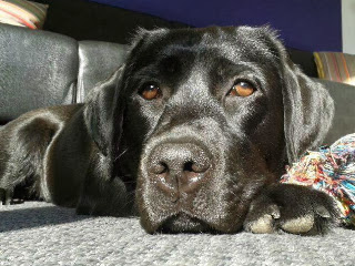 Foto bij 1 op 11/11!