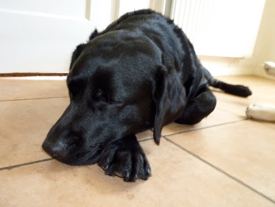 Foto bij Relaxzzzz...