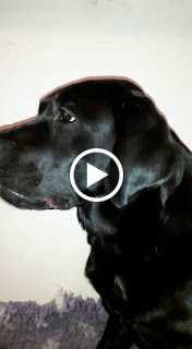 Foto bij Sophie pakt uit!