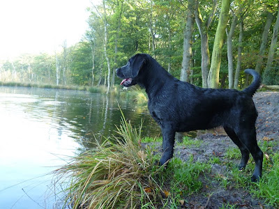 Foto bij Iz izzer door!
