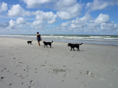 Foto bij Een dagje naar het strand
