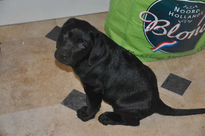 Foto bij C-nest van Janet en Sailor 1 jaar!