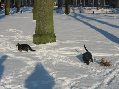 Foto bij Sugarbabes thuis