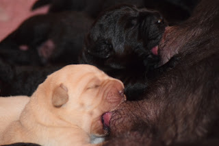 Foto bij Kleine Keetjes