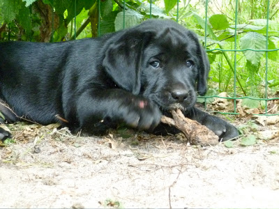Foto bij Zand erover!