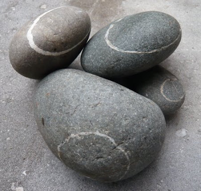 Foto bij Wishstone Labradors