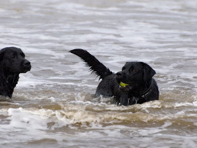Foto bij Noordwijk aan ZEEEEEEEEEEEEEEEEEEEEEEEEEE!