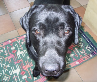 Foto bij JanetSailor-blend 2 jaar!