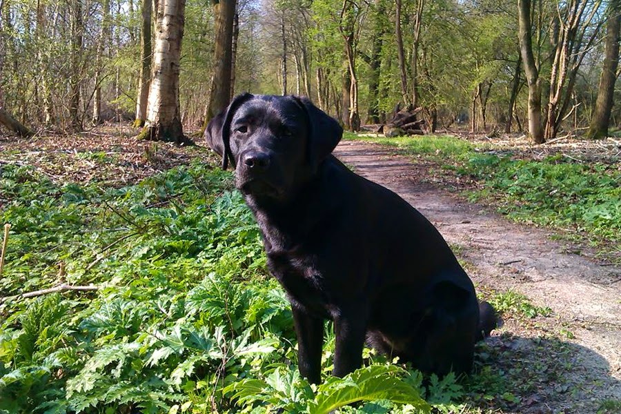 Foto bij Bibi's Dotjes 1 jaar!