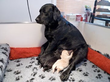 Foto bij Cato's Kado