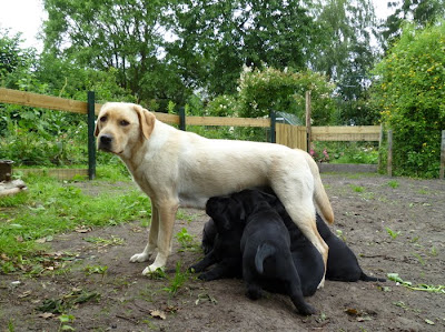 Foto bij Quality time met Family&Friends