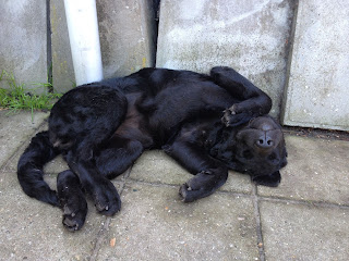 Foto bij Staying Cool @Wishstone