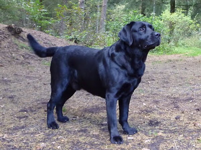 Foto bij Cato's Kado
