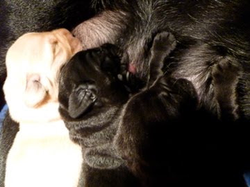 Foto bij Cato's Kado