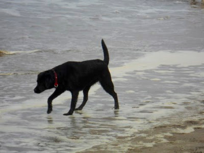 Foto bij Noordwijk aan ZEEEEEEEEEEEEEEEEEEEEEEEEEE!