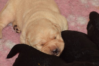Foto bij Kleine Keetjes