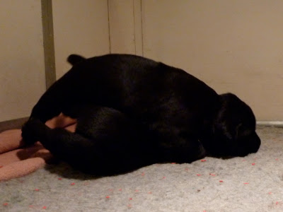 Foto bij Grenzen verleggen
