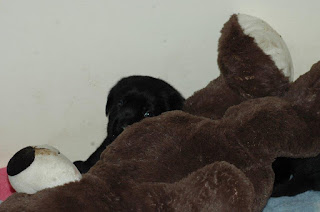 Foto bij Playtime!