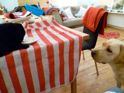Foto bij Papkindjes