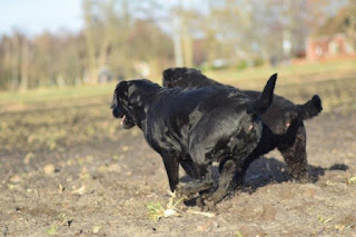 Foto bij Moeders en dochters